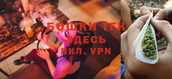 крисы Алексин