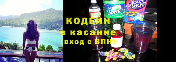 индика Сафоново