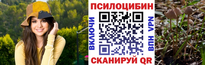 Псилоцибиновые грибы мухоморы  Гвардейск 